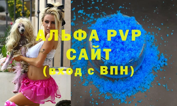 крисы Кулебаки