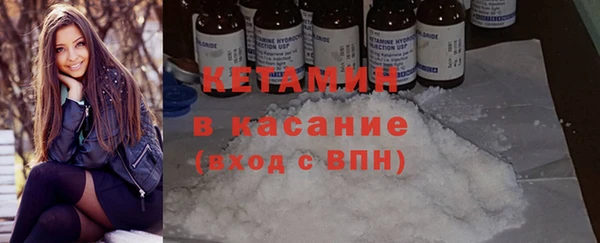 крисы Кулебаки