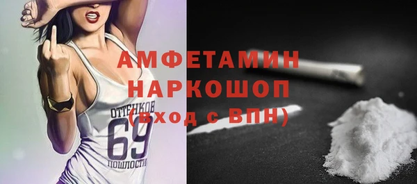 крисы Кулебаки