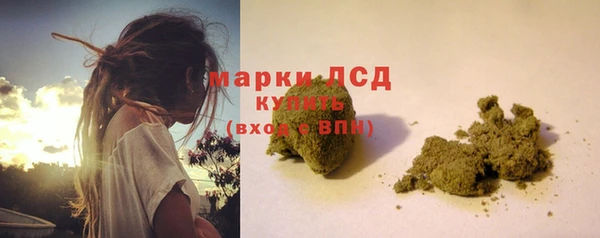крисы Кулебаки