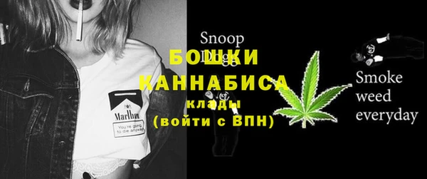 крисы Кулебаки
