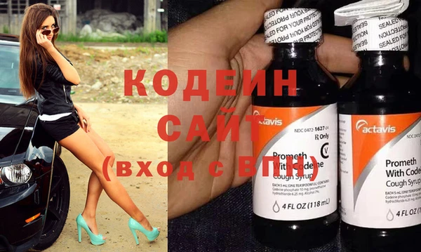 крисы Кулебаки