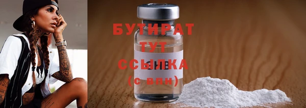 крисы Кулебаки