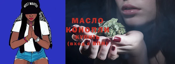 крисы Кулебаки