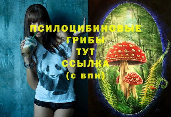 крисы Кулебаки