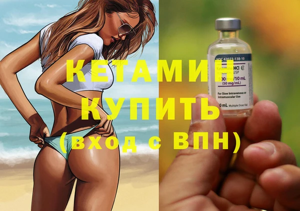 крисы Кулебаки