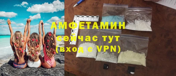 крисы Кулебаки