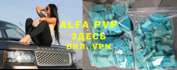 крисы Кулебаки