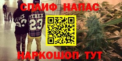 гашик Ипатово