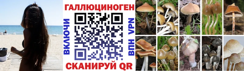 KRAKEN онион  купить закладку  Прокопьевск  Галлюциногенные грибы прущие грибы 