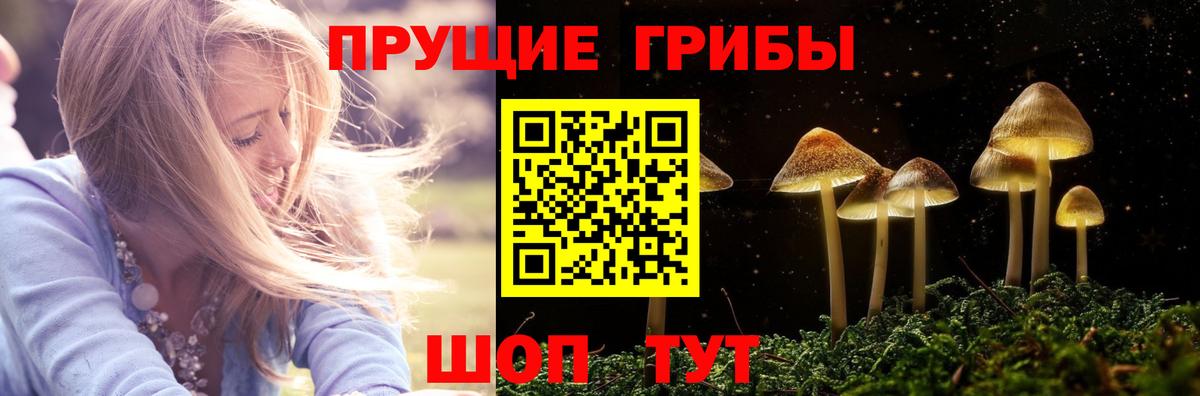 Псилоцибиновые грибы ЛСД  Галлюциногенные грибы мицелий  Прокопьевск  наркошоп  Вход с VPN 
