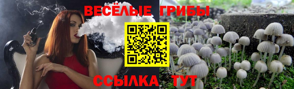 Галлюциногенные грибы GOLDEN TEACHER Прокопьевск