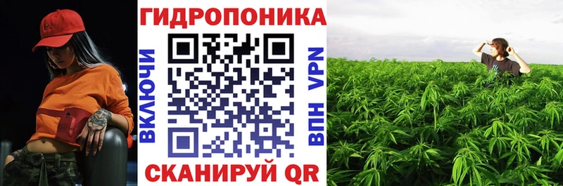 kraken   Прокопьевск  Шишки марихуана марихуана 